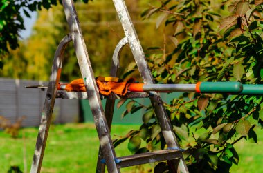 beyaz zemin üzerinde kesme dalları için Bahçe secateurs