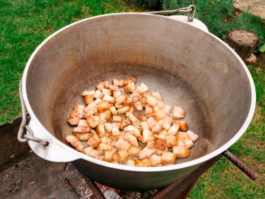 Piknik. Et pişirmek, ateşte sebzeli pastırma