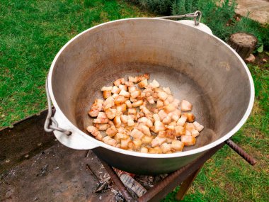 Piknik. Et pişirmek, ateşte sebzeli pastırma