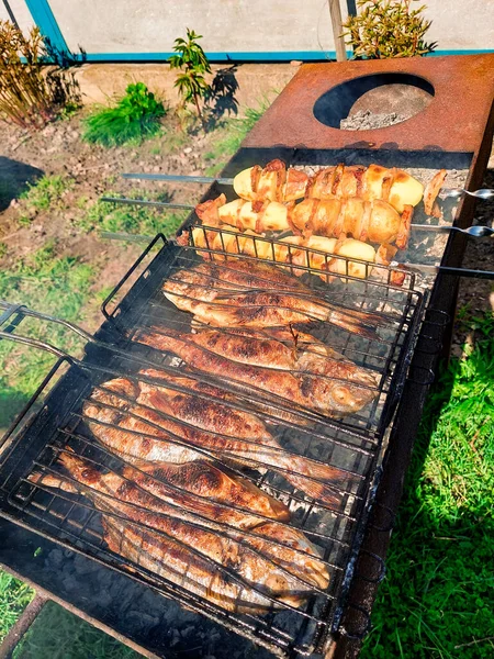 Gegrilde Dorado Vis Chiken Bbq Close — Stockfoto