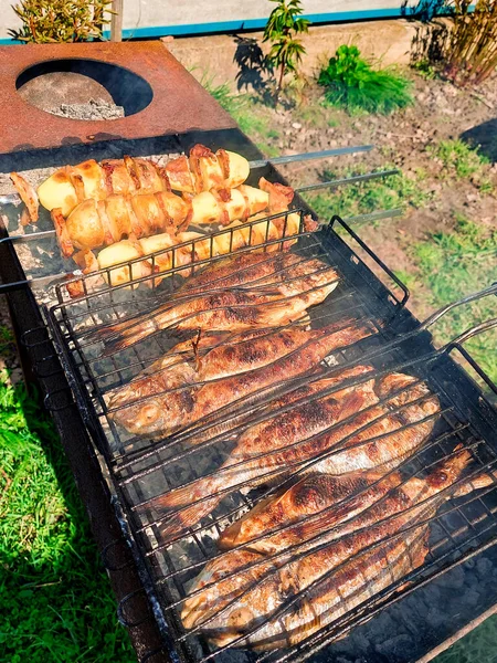 Gegrilde Dorado Vis Chiken Bbq Close — Stockfoto