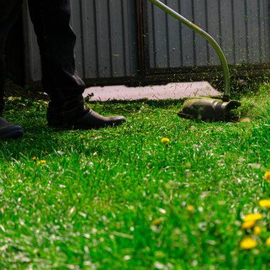 Çim biçme makinesiyle çimleri biçmek. Bahçe işleri konsepti.