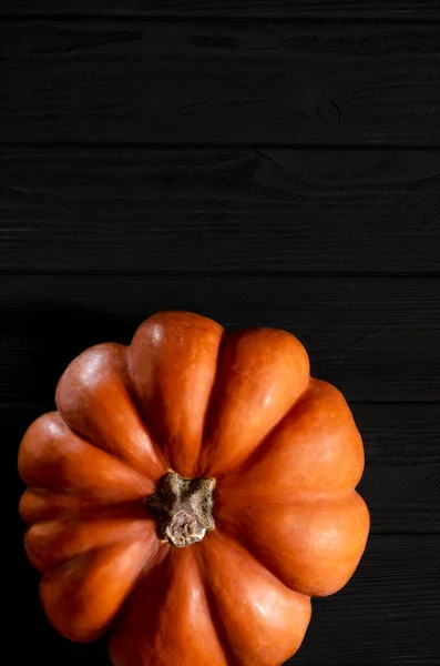The autumn harvest of orange textured pumpkin lies on a tree background — Fotografia de Stock