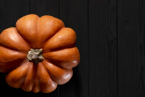 The autumn harvest of orange textured pumpkin lies on a tree background — 스톡 사진