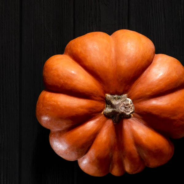 The autumn harvest of orange textured pumpkin lies on a tree background — Fotografia de Stock
