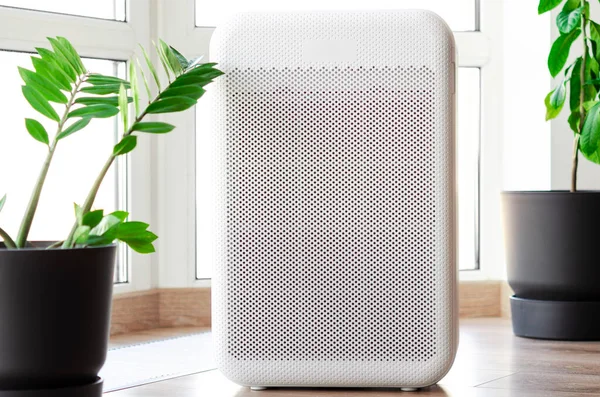 Air purifier in cozy home for filter and cleaning air and healthy Wellness life, Air Pollution Concept