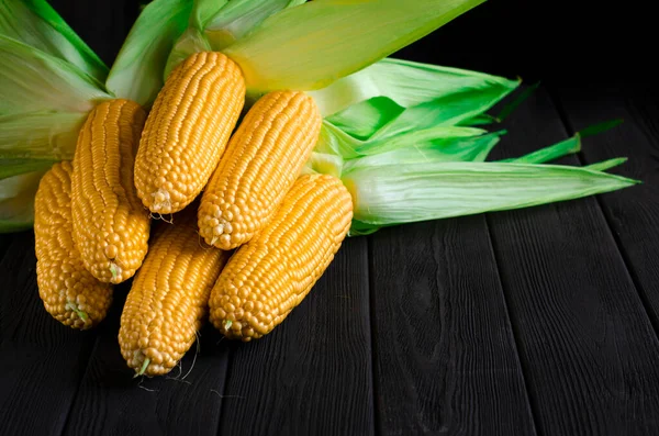 Harvest Sweet Ripe Corn Green Leaves Lies Black Wooden Table — Stock Fotó