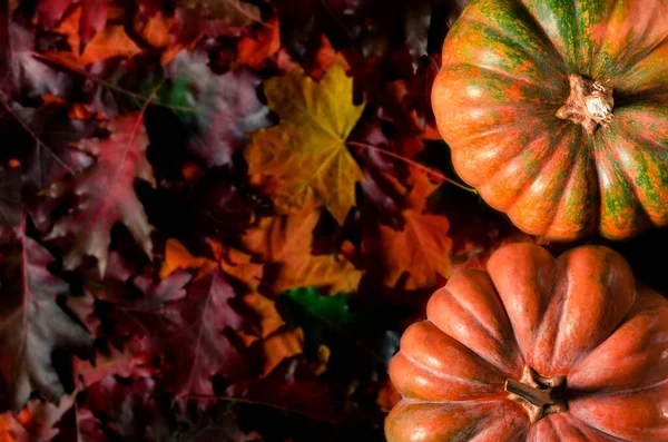 ハロウィンだ カボチャ トウモロコシ 木の背景に葉で秋の静物画 — ストック写真