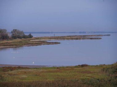 Güzel bir yerde yürüyorum. Valli di Comacchio