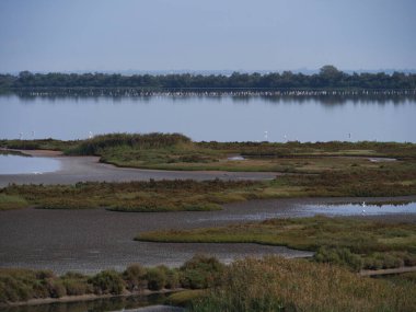 Güzel bir yerde yürüyorum. Valli di Comacchio