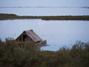 Güzel bir yerde yürüyorum. Valli di Comacchio