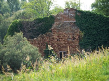 Güzel bir yerde yürüyorum. Valli di Comacchio