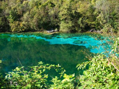 Cornino Gölü 'nde kristal berrak su Forgaria nel Friuli Udine - İtalya