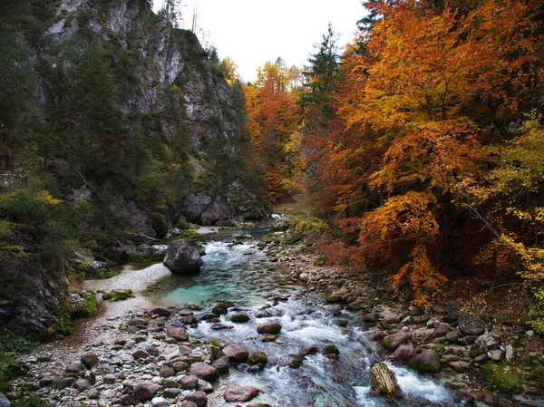 Vacker Natur Orrido Dello Slizza Nära Tarvisio Stad Norra Italien — Stockfoto