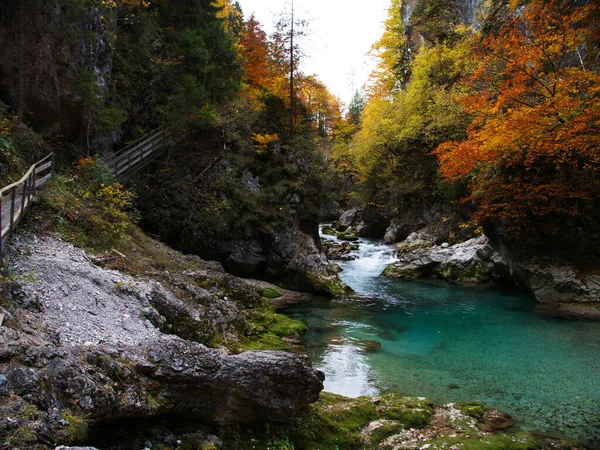Beautiful Nature Orrido Dello Slizza Close Tarvisio City North Italian — Foto Stock