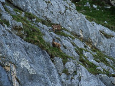 Montasio 'dan Terrarossa Dağı' nın tepesinde yürüyüş.