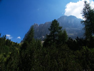 walking in val di fassa, trentino alto adige, italy