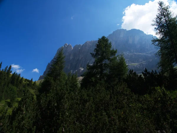 Walking Val Fassa Trentino Alto Adige Italy — 스톡 사진