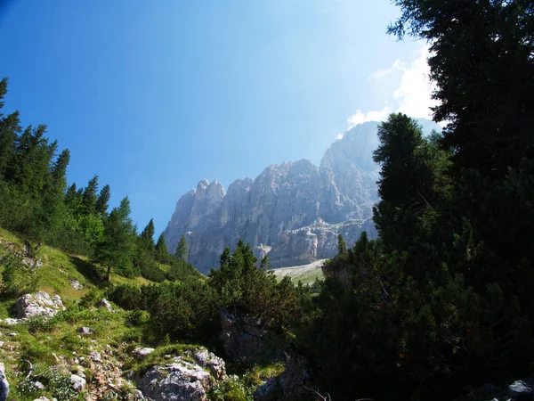 Walking Val Fassa Trentino Alto Adige Italy — 图库照片