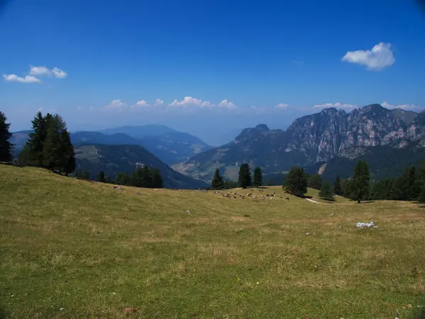 Walking Val Fassa Trentino Alto Adige Italy — Stock Fotó