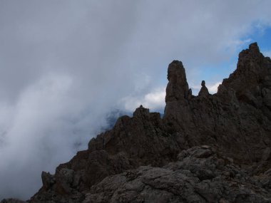 walking in fiemme valley, trentino alto adige, italy