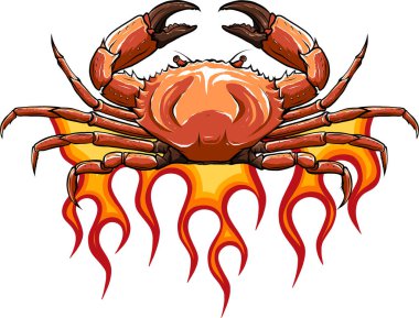 Pençeleri alevler içinde kızgın yengeç vektörü