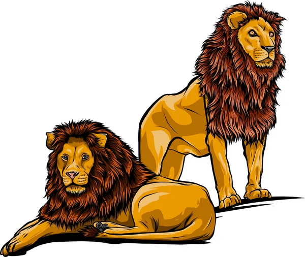 Två lejon. Vektor illustration isolerad på den vita bakgrunden — Stock vektor