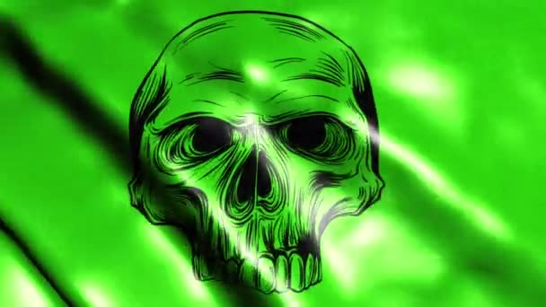 Skull flag digital video animation — Stock Video