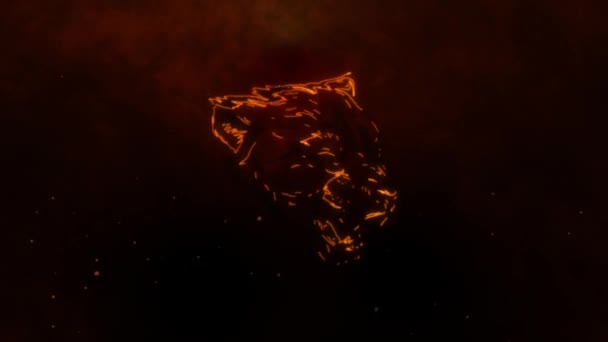 Vídeo de cabeça pantera com fogo — Vídeo de Stock