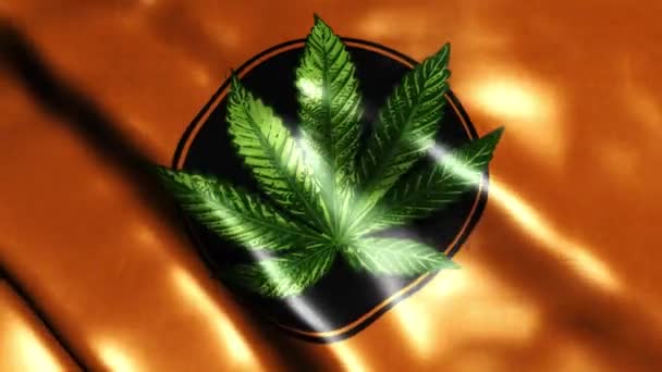 Ikon daun Cannabis. Siluet hijau — Stok Video