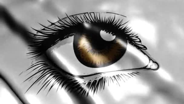 Schönes Auge mit Augenbraue auf Fahne — Stockvideo