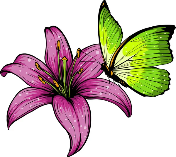 Motýlí Květinový Vektor Ilustrace — Stockový vektor