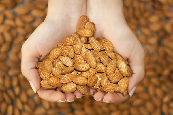 Almonds hands heart Stock Photos, Royalty Free Almonds hands heart Images | Depositphotos