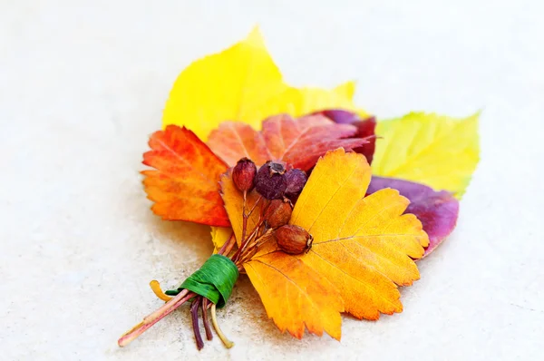 Куча осенних листьев — стоковое фото