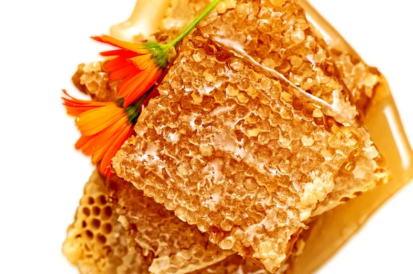 Honeycomb with honey and flowers — Stok fotoğraf