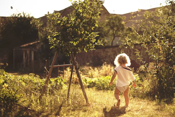 Two-year-old gardener — Stock Photo, Image