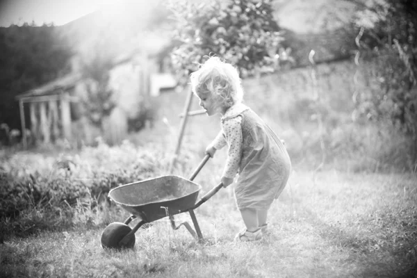 Two-year-old gardener - black and white — Stock Photo, Image