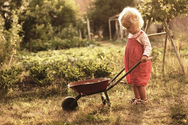 Two-year-old gardener — Stock Photo, Image