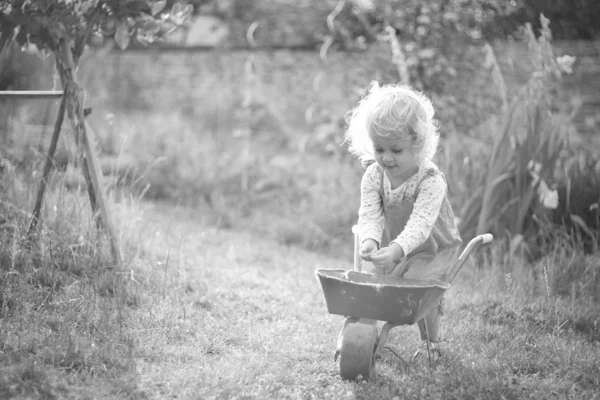 Two-year-old gardener - black and white — Stock Photo, Image