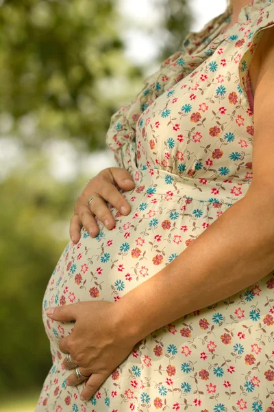 Pregnancy — Stock Photo, Image