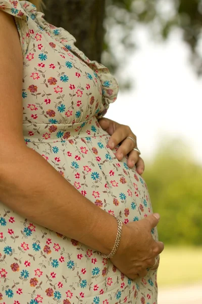 Pregnancy — Stock Photo, Image