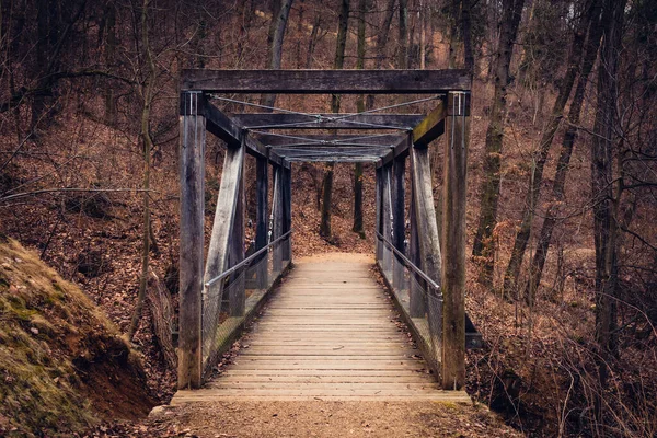 Old Wooden Bridge Forest Autumn Weather — стоковое фото