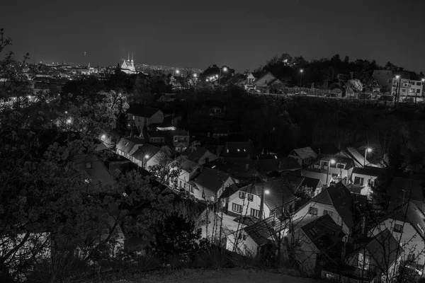 Ασπρόμαυρη Φωτογραφία Θέα Της Πόλης Του Μπρνο Τσεχία Πέτρινη Αποικία — Φωτογραφία Αρχείου