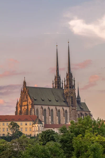 Piękna Stara Architektura Petrow Katedra Piotra Pawła Brno Republika Czeska — Zdjęcie stockowe