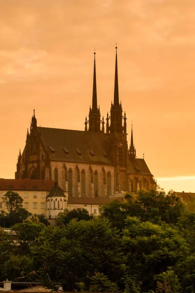 Piękna Stara Architektura Petrow Katedra Piotra Pawła Miasto Brno Czechy — Zdjęcie stockowe