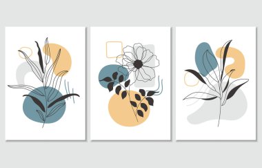 Üç soyut botanik poster seti, vektör illüstrasyonu