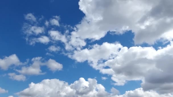 Clima Tranquilo Despejado Nubes Blancas Exuberantes Rizadas Cielo Azul Brillante — Vídeo de stock