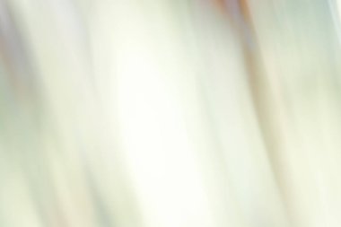 Açık yeşil renklerde ve metin için yeri olan soyut arkaplan. Arkaplan.