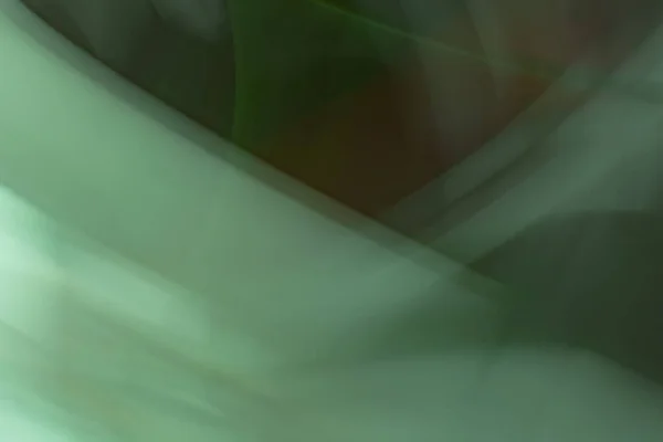 Баннер Абстрактном Фоне Темно Зеленого Цвета Фотоэффект Светопреломление Градиент Линейных — стоковое фото