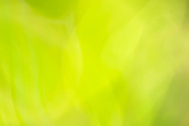 Parlak bahar arkaplan afişi. Bulanık yapraklı soyut yapraklar. Şenlikli arkaplan.